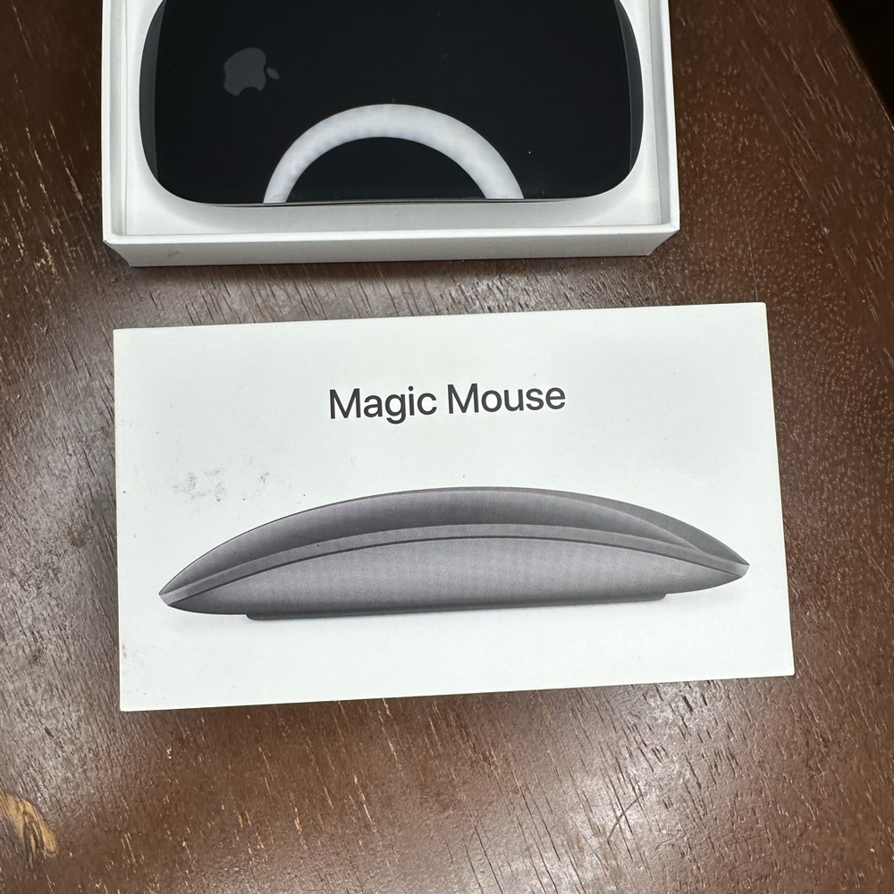 Apple Magic Mouse in Sleek Gray